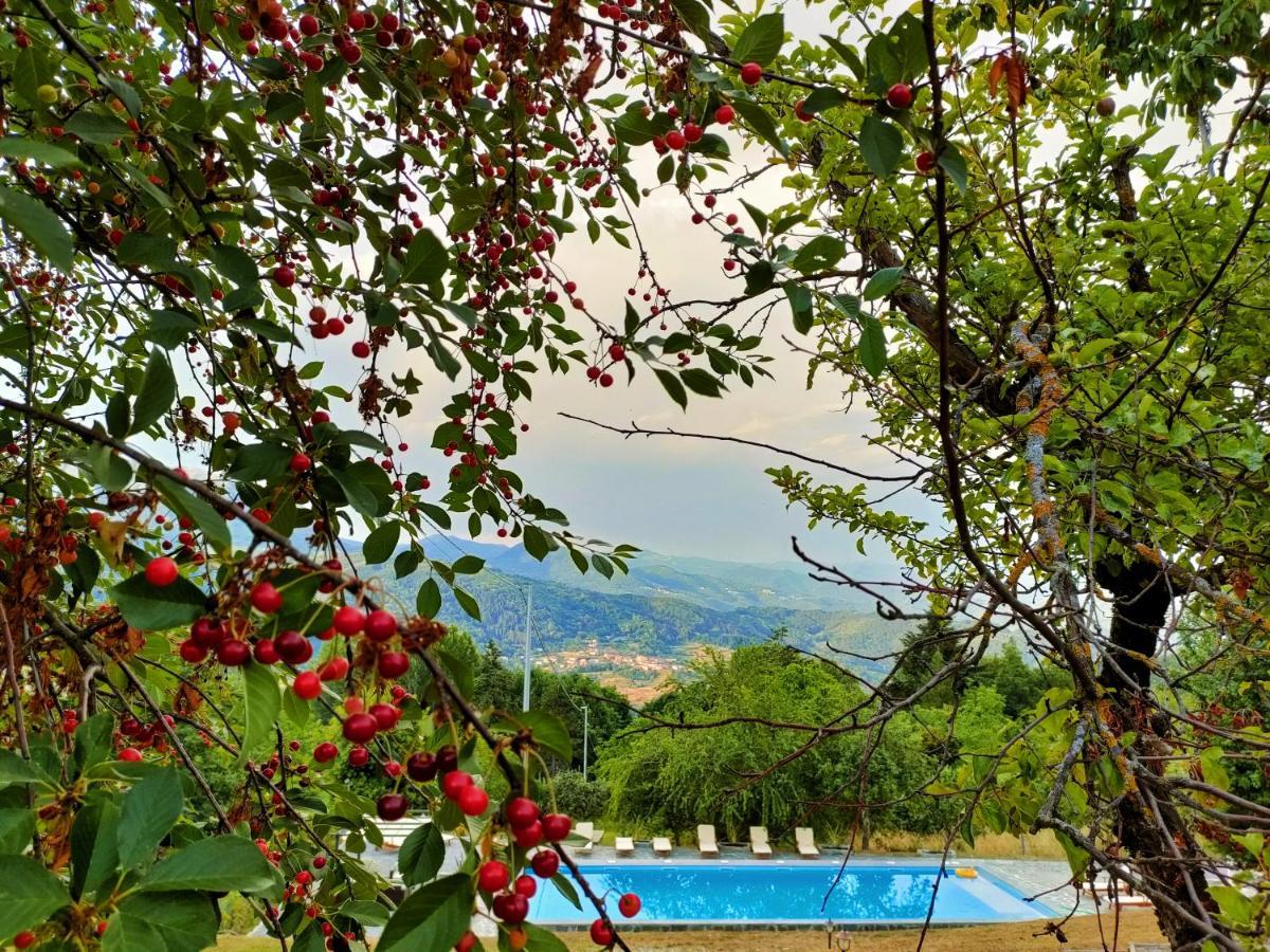 Agriturismo Borgo Biaia Camporgiano Exteriör bild